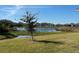 View of a lake and houses from backyard at 17637 Cantarina Cv, Bradenton, FL 34211