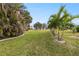 Lush green lawn with mature palm trees at 3607 Darin Dr, Punta Gorda, FL 33950
