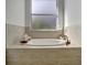 Oval soaking tub with tile surround and window at 5125 Tidewater Preserve Blvd, Bradenton, FL 34208