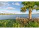 Scenic lake view with palm trees and lush vegetation at 6519 Rosehill Farm Run, Bradenton, FL 34211