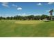 Expansive green golf course with a beautiful setting at 7419 Albert Tillinghast Dr, Sarasota, FL 34240