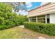Small, grassy backyard with hedges and a pathway at 2325 Riverbluff Pkwy # V247, Sarasota, FL 34231