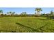 Fenced dog park with lush grass and palm trees at 10160 Silent Night Ln, Sarasota, FL 34241