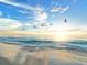 Tranquil beach scene with seagulls flying over calm ocean waves at 1275 Siesta Bayside Dr # 1275, Sarasota, FL 34242