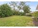 Large grassy backyard with mature trees and shrubs at 4477 Opal Ct, Sarasota, FL 34233