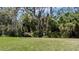 Wooded backyard with lush green grass at 4505 70Th E Ave, Ellenton, FL 34222