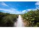 Sandy path leading to the beach through vegetation at 475 Benjamin Franklin Dr # 215, Sarasota, FL 34236
