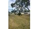 Community with mature trees and well-maintained lawns at 5931 Tidewood Ave # 8, Sarasota, FL 34231