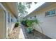 Landscaped side yard with a walking path at 6005 Midnight Pass Rd # N8, Sarasota, FL 34242