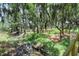 Creekside view with lush vegetation and moss-covered trees at 10916 Copperlefe Dr, Bradenton, FL 34212