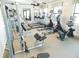 Fitness center with various weight and cardio machines at 11992 Blazing Star Dr, Venice, FL 34293