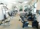 Well-equipped fitness center with cardio and strength training machines at 11992 Blazing Star Dr, Venice, FL 34293