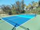 Two well-maintained pickleball courts at 11992 Blazing Star Dr, Venice, FL 34293