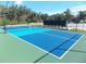 Two well-maintained pickleball courts are available for residents' enjoyment at 11992 Blazing Star Dr, Venice, FL 34293