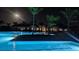 Relaxing community pool at night with palm trees at 25532 Royal Tern Ln, Englewood, FL 34223