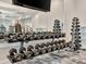 Well-equipped gym with various weight training machines at 25917 Bimini Sands Ct, Englewood, FL 34223