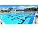 Olympic-sized swimming pool with lane lines and spectator seating at 4228 Central Sarasota Pkwy # 1013, Sarasota, FL 34238
