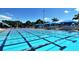 Inviting community pool with multiple lanes and spectator area at 4228 Central Sarasota Pkwy # 1013, Sarasota, FL 34238