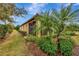 Landscaped backyard with a well-maintained lawn and tropical plants at 12785 Fontana Loop, Bradenton, FL 34211