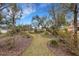 Spacious backyard featuring a grassy lawn, mature trees, and garden beds at 2218 Shadow Oaks Rd, Sarasota, FL 34240