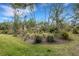 Landscaped backyard with mature trees and lush plantings at 2218 Shadow Oaks Rd, Sarasota, FL 34240