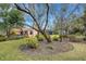 Landscaped backyard with a large tree and manicured lawn at 2218 Shadow Oaks Rd, Sarasota, FL 34240