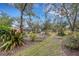 Landscaped backyard with mature trees at 2218 Shadow Oaks Rd, Sarasota, FL 34240