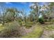 Mature plantings and flowering bushes in a well-maintained garden at 2218 Shadow Oaks Rd, Sarasota, FL 34240