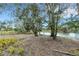 Lakefront property with mature trees at 2218 Shadow Oaks Rd, Sarasota, FL 34240