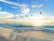 Tranquil beach sunset with birds flying overhead at 72 N School Ave, Sarasota, FL 34237
