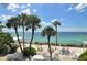 Beachfront view with palm trees and lounge chairs at 7429 Sanderling Rd, Sarasota, FL 34242