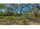 Majestic tree creates a serene and shaded area on the property at 7429 Sanderling Rd, Sarasota, FL 34242