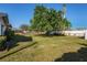 A spacious backyard with a large tree, offering ample green space and privacy at 807 62Nd W St, Bradenton, FL 34209