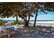 Peaceful beachfront picnic area with shade tree at 1001 Benjamin Franklin Dr # 110, Sarasota, FL 34236