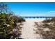 Sandy path leads to pristine beach with blue umbrellas at 1001 Benjamin Franklin Dr # 110, Sarasota, FL 34236