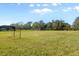 Large backyard with soccer goals, perfect for  at 11701 Marsh Head Road, Sarasota, FL 34240