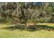 Relaxing yard with benches under a large oak tree at 11701 Marsh Head Road, Sarasota, FL 34240