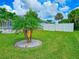 Landscaped backyard with a white vinyl fence at 18652 Ohara Dr, Port Charlotte, FL 33948