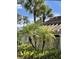 Lush landscaping featuring palm trees and tropical plants at 3354 Sandleheath # 13, Sarasota, FL 34235