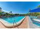 Community pool with blue umbrellas and lounge chairs at 360 Pine Run Dr, Osprey, FL 34229