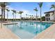 Resort-style pool with plenty of lounge chairs and palm trees at 4839 Pastel Ct, Sarasota, FL 34240