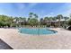 Relaxing kidney-shaped pool surrounded by palm trees and lounge chairs at 7325 Skybird Rd, Bradenton, FL 34209