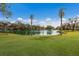 Serene lake view with two palm trees at 8009 55Th E St, Palmetto, FL 34221