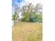 Large backyard with mature trees and grass at 10607 3Rd St, Thonotosassa, FL 33592