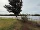 Landscaped backyard with lake view at 12315 Ballentrae Forest Dr, Riverview, FL 33579