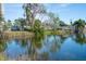 Serene lake view showcasing waterfront homes and ducks swimming at 4515 Falcon Ridge Dr, Sarasota, FL 34233