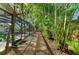 Pathway to a pool, lined with tropical plants at 4822 30Th Street E Ct, Bradenton, FL 34203