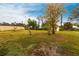 Large backyard with mature trees and shed at 6222 Brentwood Ave, Sarasota, FL 34231