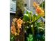 Beautiful orange orchids add tropical flair to the landscape at 6821 Longboat S Dr, Longboat Key, FL 34228