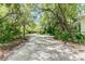 Long driveway leading to a charming house through lush greenery at 1130 Anclote Rd Rd, Tarpon Springs, FL 34689